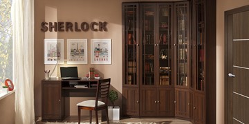 Модульная библиотека Sherlock №4 в Орле