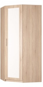 Распашной шкаф угловой Реал (YR-230х884 (9)-М Вар.1), с зеркалом в Орле