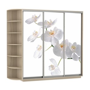 Шкаф 3-х створчатый Экспресс со стеллажом, 2100х600х2200, Орхидея белая/шимо светлый в Орле