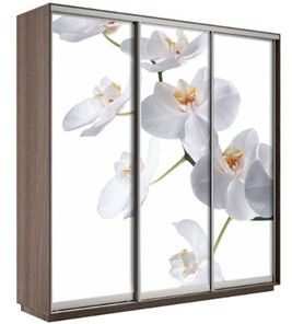 Шкаф 3-х створчатый Экспресс 2100х600х2200, Орхидея белая/шимо темный в Орле