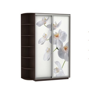 Шкаф 2-дверный Экспресс 1700x600x2200, со стеллажом, Орхидея белая/венге в Орле