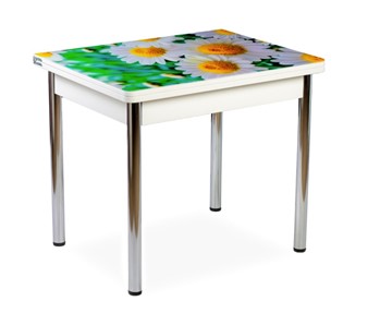 Кухонный пристенный стол СПА-01 СТФ, белый/фотопечать ромашки/опоры прямые хром в Орле