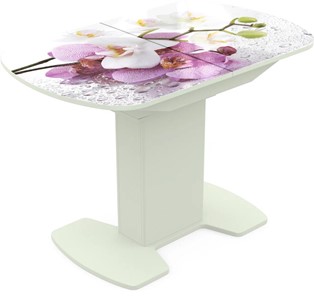 Кухонный стол раскладной Корсика исп. 1 Фотопечать (Цветы №44) 1100(1415)*700 в Орле