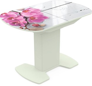 Кухонный стол раскладной Корсика исп. 2 Фотопечать (Цветы №24) 1200(1515)*800 в Орле