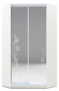 Шкаф 2300х1103, ХИТ У-23-4-66-01, цапля, 2 зеркала, белая шагрень в Орле