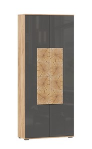 Шкаф двухстворчатый Фиджи с декоративными накладками 659.310, Дуб Золотой/Антрацит в Орле
