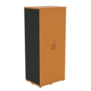 Шкаф-гардероб Моно-Люкс G5A05 в Орле