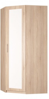 Распашной шкаф угловой Реал (YR-230х884 (9)-М Вар.1), с зеркалом в Орле - изображение