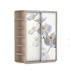 Шкаф 2-х дверный Экспресс 1900x600x2200, со стеллажом, Орхидея белая/дуб молочный в Орле