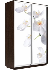 Шкаф 2-дверный Экспресс 1400x600x2400, Орхидея белая/венге в Орле