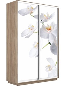 Шкаф 2-дверный Экспресс 1600x450x2400, Орхидея белая/дуб сонома в Орле