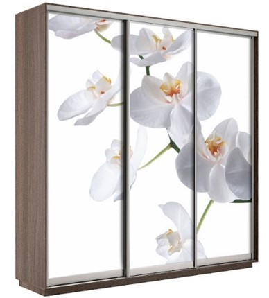 Шкаф 3-дверный Экспресс 1800х600х2200, Орхидея бела/шимо темный в Орле - изображение