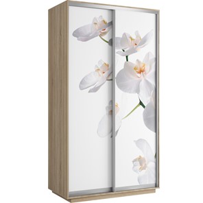 Шкаф двухдверный Хит 1200x600x2200, белая орхидея, ясень шимо светлый в Орле