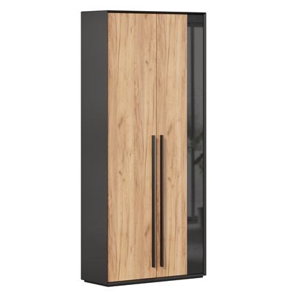 Шкаф для прихожей 2-дверный Неаполь ЛД.134050.000 (Черный/Дуб Золотой) в Орле - изображение