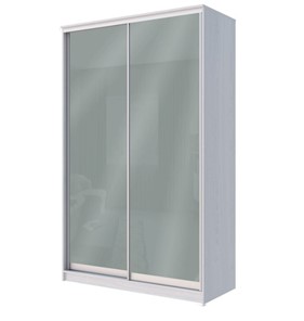 Шкаф 2-х дверный Хит-22-12-22 с цветным стеклом, средне-серый 074, Ясень анкор светлый в Орле