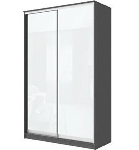 Шкаф 2-х дверный Хит-22-17-22 с цветным стеклом, белое №10, Графит в Орле - предосмотр