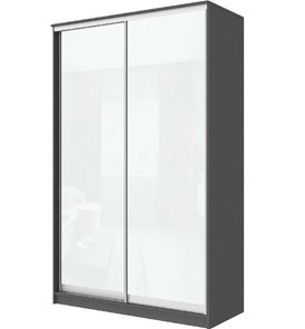 Шкаф 2-х дверный Хит-22-4-12/2-22 с цветным стеклом, белое №10, Графит в Орле