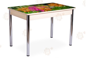 Кухонный стол раздвижной Айсберг-02 СТФ, Дуб ЛДСП/полевые цветы/ноги хром прямые в Орле