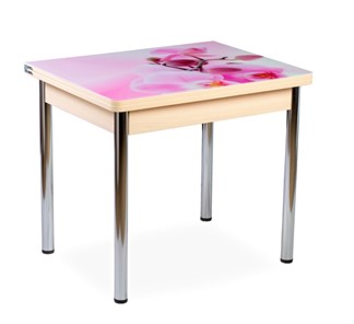 Кухонный пристенный стол СПА-02 СТФ, молочный дуб/фотопечать орхидея/опоры хром в Орле