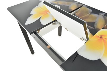 Кухонный стол раскладной Гамбург исп.2 ноги метал. крашеные №23, Фотопечать (Цветы №11) в Орле - предосмотр 5