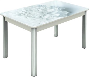 Обеденный раздвижной стол Гамбург исп.2 ноги метал. крашеные №23, Фотопечать (Цветы №27) в Орле