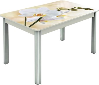 Кухонный раскладной стол Гамбург исп.2 ноги метал. крашеные №23, Фотопечать (Цветы №5) в Орле