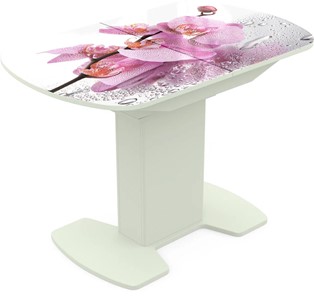Кухонный стол раздвижной Корсика исп. 2 Фотопечать (Цветы №55) 1200(1515)*800 в Орле