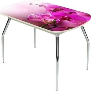 Кухонный стол раздвижной Ривьера исп.1 ноги метал. крашеные №24 Фотопечать (Цветы №16) в Орле