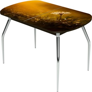 Кухонный стол раздвижной Ривьера исп.2 ноги метал. крашеные №24 Фотопечать (Цветы №43) в Орле