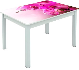 Обеденный стол Мюнхен исп. 1 ноги метал. крашеные №23 Фотопечать (Цветы №16) в Орле