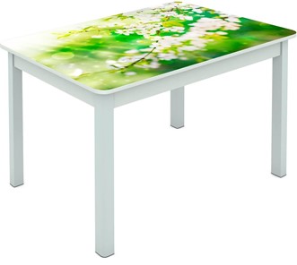 Обеденный стол Мюнхен исп. 1 ноги метал. крашеные №23 Фотопечать (Цветы №45) в Орле