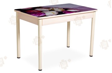 Кухонный стол раздвижной Айсберг-01 СТФ, дуб/фотопечать пионы/ноги крашеные в Орле