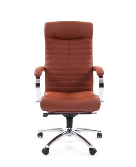 Кресло CHAIRMAN 480 Экокожа Terra 111 (коричневая) в Орле - изображение 1