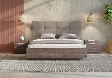 Двуспальная кровать с механизмом Victoria (ясень анкор) 160х190 в Орле