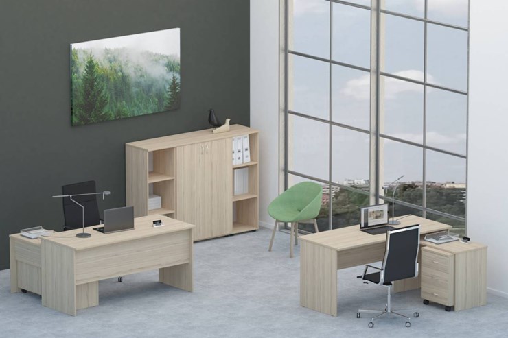 Офисный комплект мебели Twin для 2 сотрудников со шкафом для документов в Орле - изображение