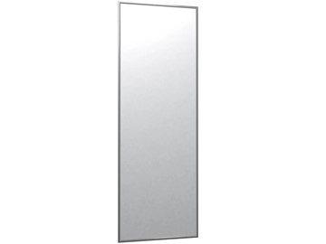 Зеркало навесное в гардероб Сельетта-5 глянец серебро (1500х500х9) в Орле
