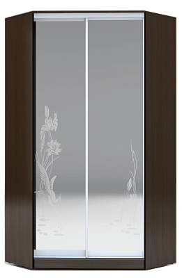 Шкаф угловой 2300х1103, ХИТ У-23-4-66-01, цапля, 2 зеркала, венге аруба в Орле - изображение