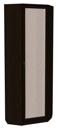 Шкаф распашной 402 угловой со штангой, цвет Венге в Орле - изображение
