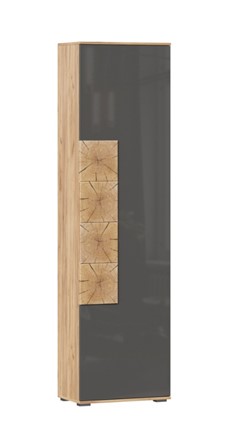 Шкаф одностворчатый Фиджи с декоративными накладками 659.300, Дуб Золотой/Антрацит в Орле - изображение