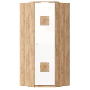 Шкаф угловой 45 с декоративной накладкой Фиджи, 659.248, белый в Орле - предосмотр