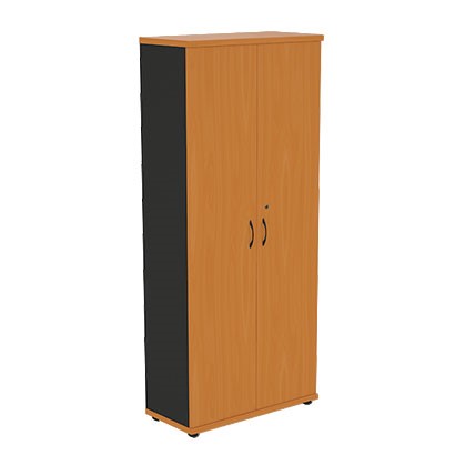 Шкаф 2-створчатый Моно-Люкс R5S05 в Орле - изображение